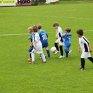 IMG_2290.jpg