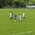 IMG_2297.jpg