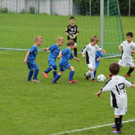 IMG_2301.jpg