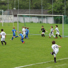 IMG_2303.jpg
