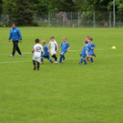 IMG_2305.jpg