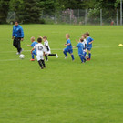 IMG_2306.jpg