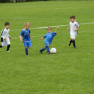 IMG_2311.jpg
