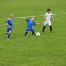 IMG_2312.jpg