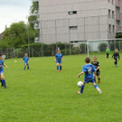 IMG_2317.jpg