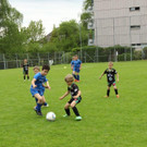 IMG_2318.jpg