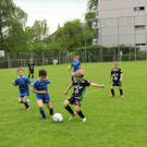 IMG_2319.jpg