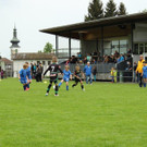 IMG_2324.jpg