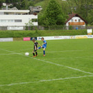IMG_2335.jpg