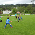 IMG_2337.jpg