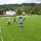 IMG_2339.jpg