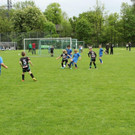 IMG_2347.jpg