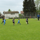 IMG_2352.jpg