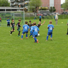 IMG_2356.jpg
