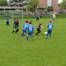 IMG_2357.jpg