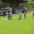 IMG_2358.jpg