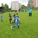 IMG_2360.jpg