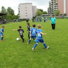 IMG_2361.jpg