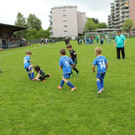 IMG_2362.jpg