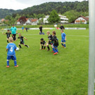 IMG_2364.jpg