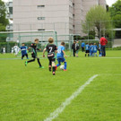 IMG_2372.jpg