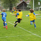 IMG_2380.jpg