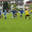 IMG_2381.jpg