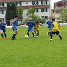 IMG_2382.jpg