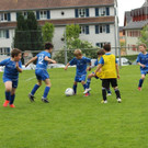 IMG_2383.jpg