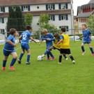 IMG_2384.jpg