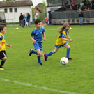 IMG_2387.jpg