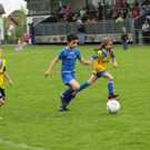 IMG_2388.jpg
