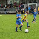 IMG_2389.jpg