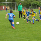 IMG_2394.jpg