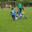 IMG_2395.jpg