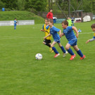 IMG_2396.jpg