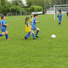 IMG_2398.jpg