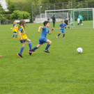 IMG_2399.jpg
