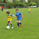 IMG_2402.jpg