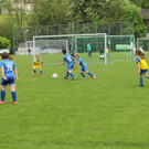 IMG_2403.jpg