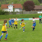 IMG_2411.jpg