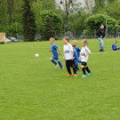 IMG_2424.jpg