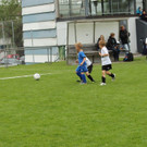 IMG_2428.jpg