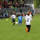 IMG_2433.jpg