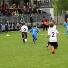 IMG_2434.jpg