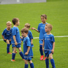 IMG_2445.jpg