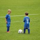 IMG_2447.jpg