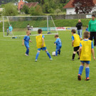 IMG_2453.jpg