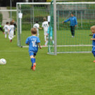 IMG_2456.jpg