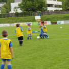IMG_2459.jpg